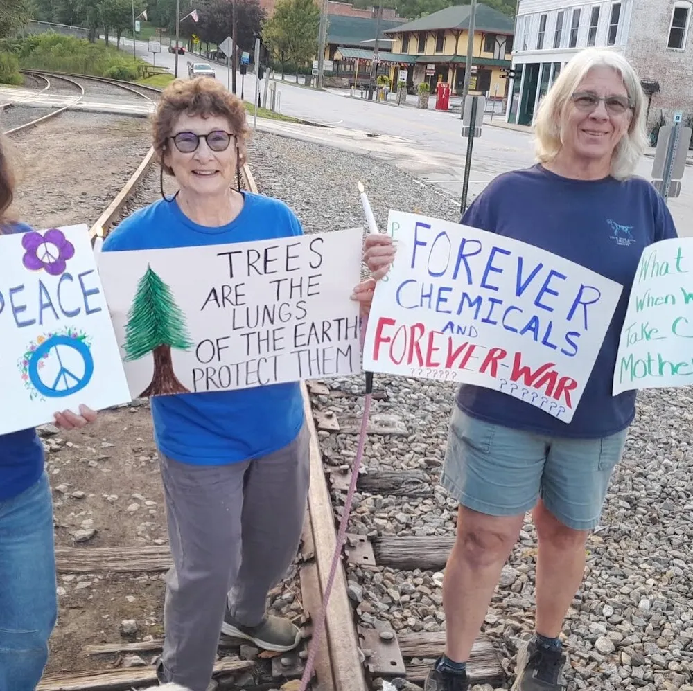Members of Indivisible Polk Foothills standing together on railway tracks in town, smiling.